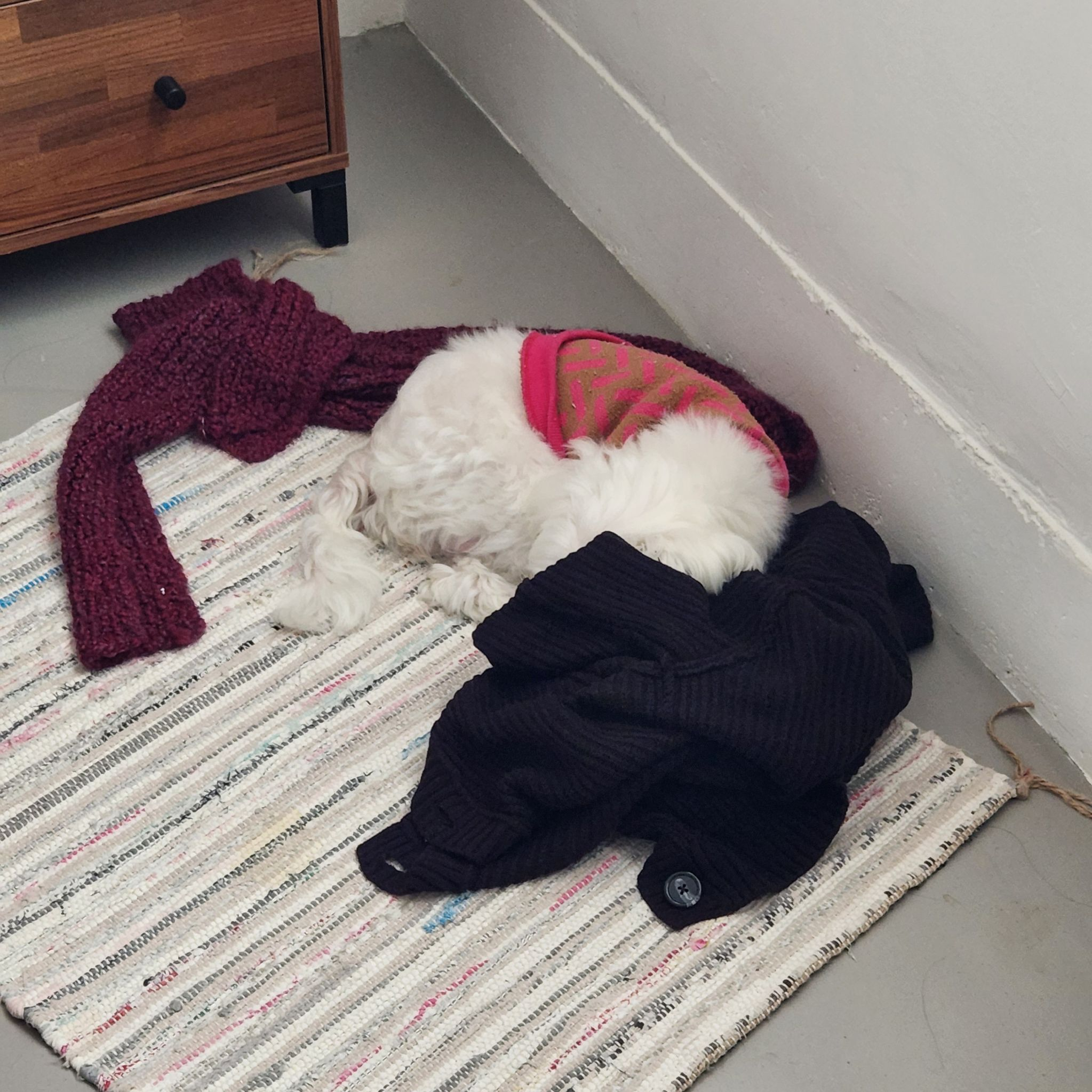 加害者、受害者到拯救者的跳脫之路