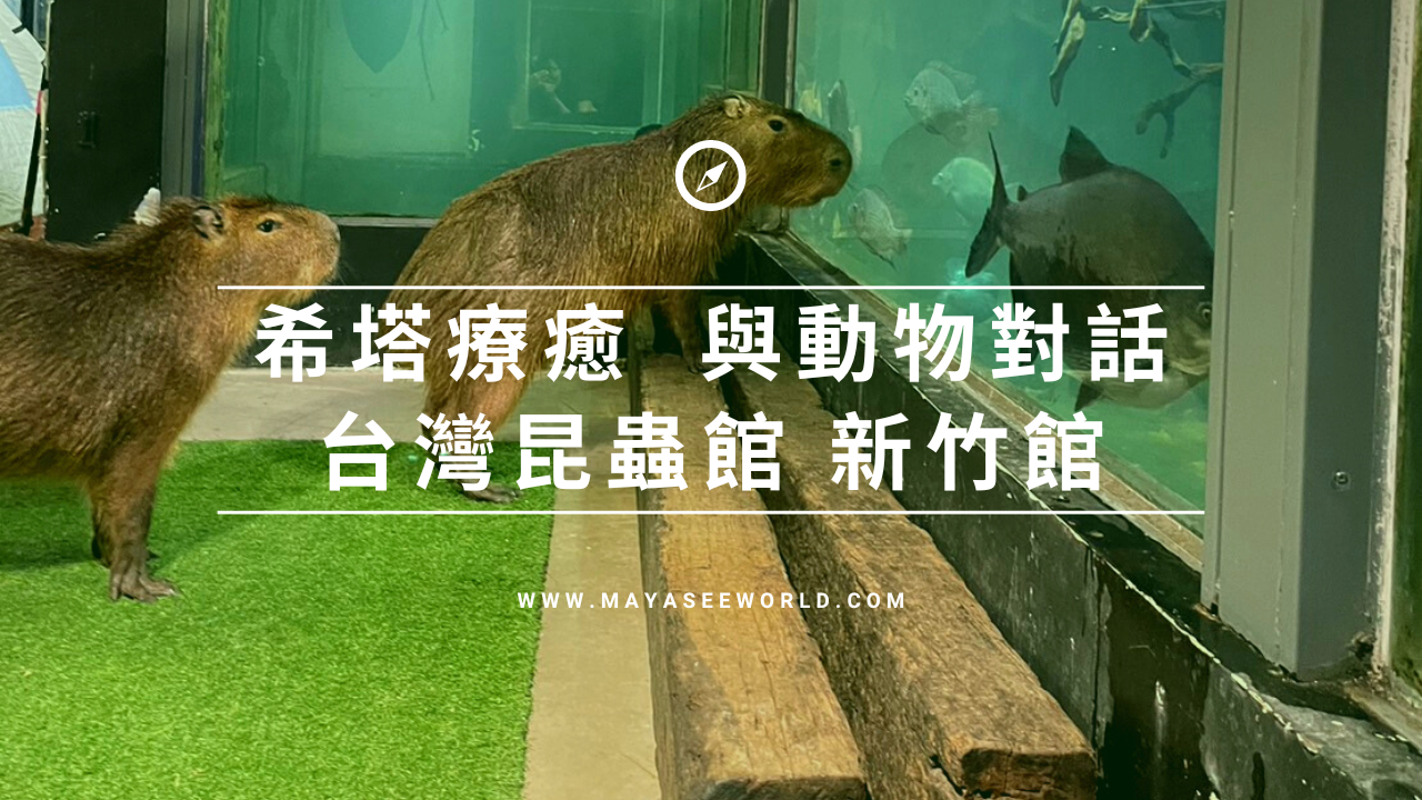 希塔療癒｜與動物對話 X 台灣昆蟲館 後記