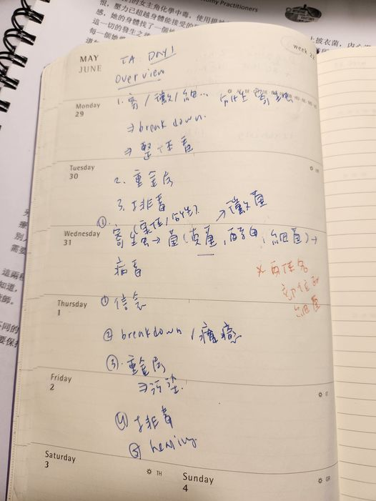 非線性大腦如何學習人體直觀