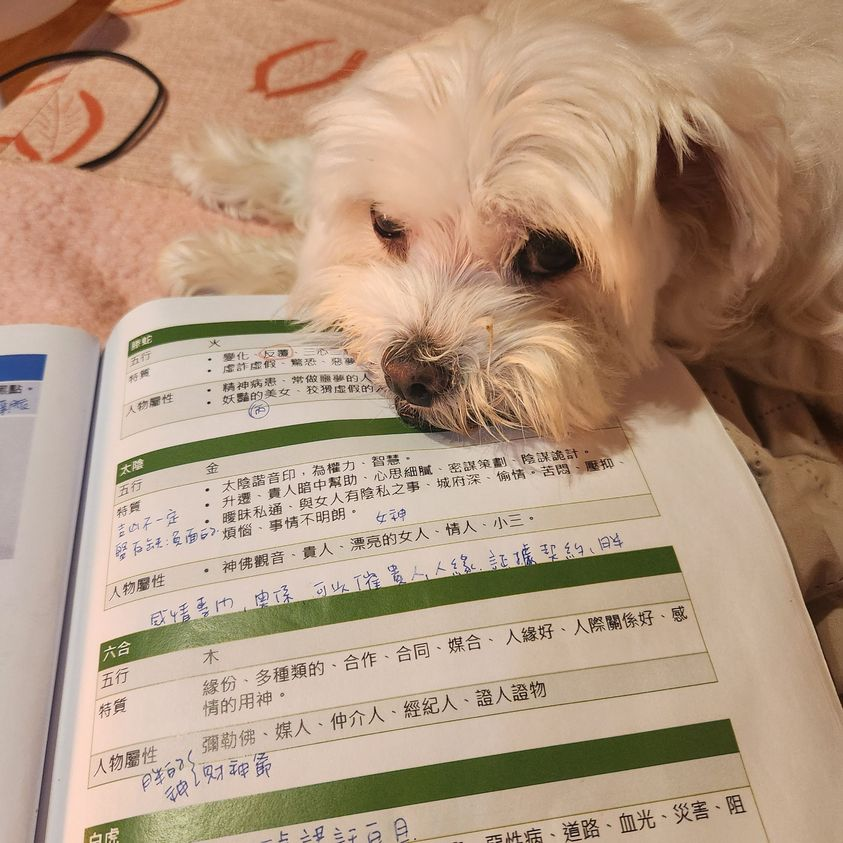 信念大爆發