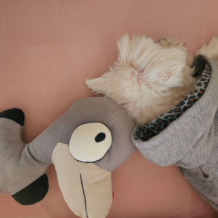 不要讓反射動作阻礙豐盛