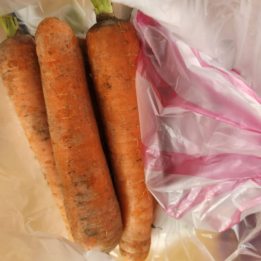 希塔療癒｜人體直觀