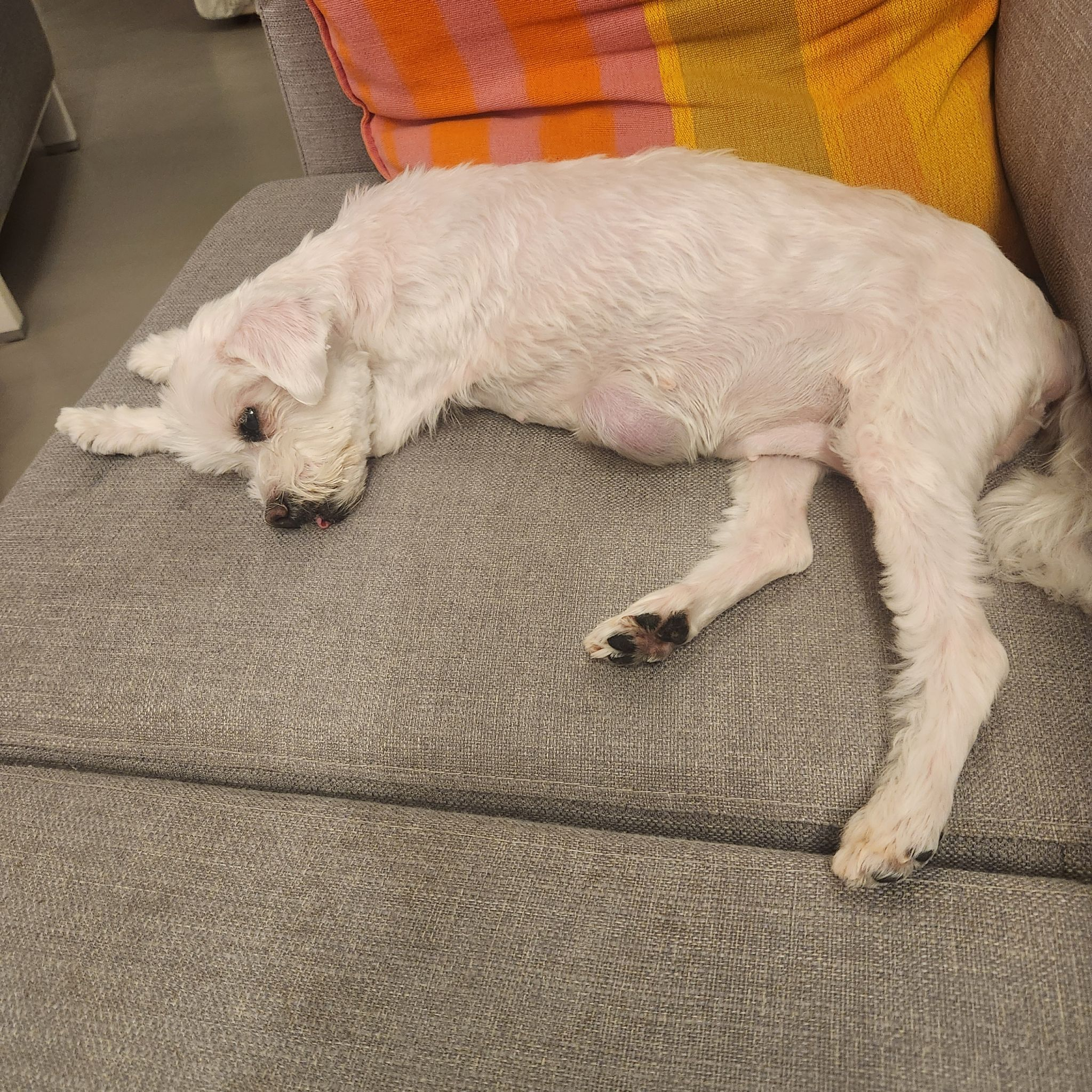 看不到遺傳層和歷史層怎麼辦