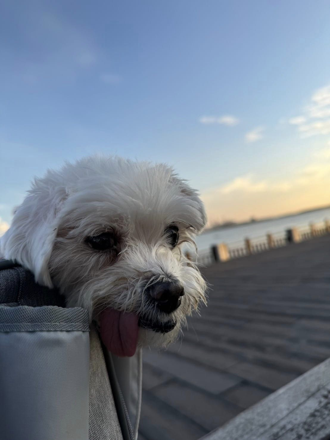 做自己與豐盛感