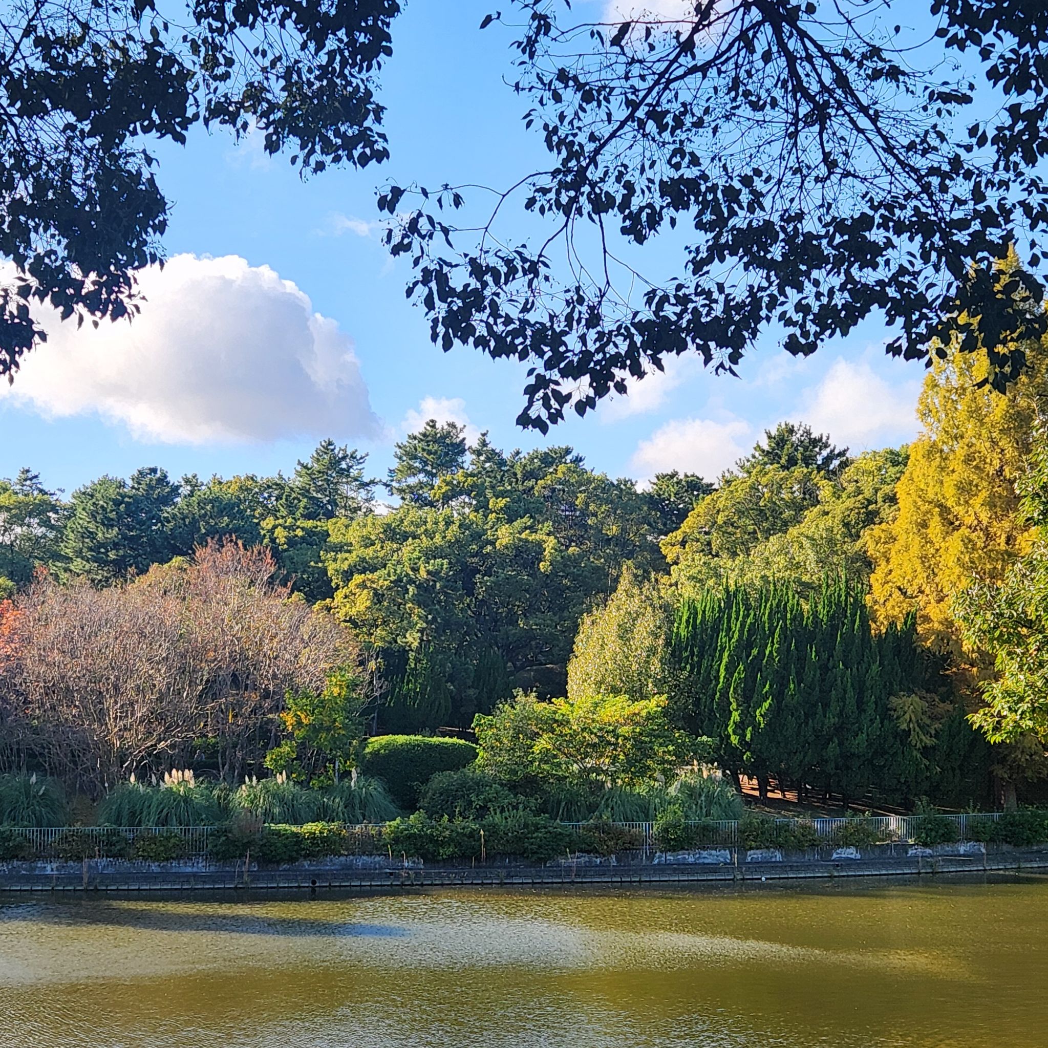 希塔課程｜DNA4Part1導師課