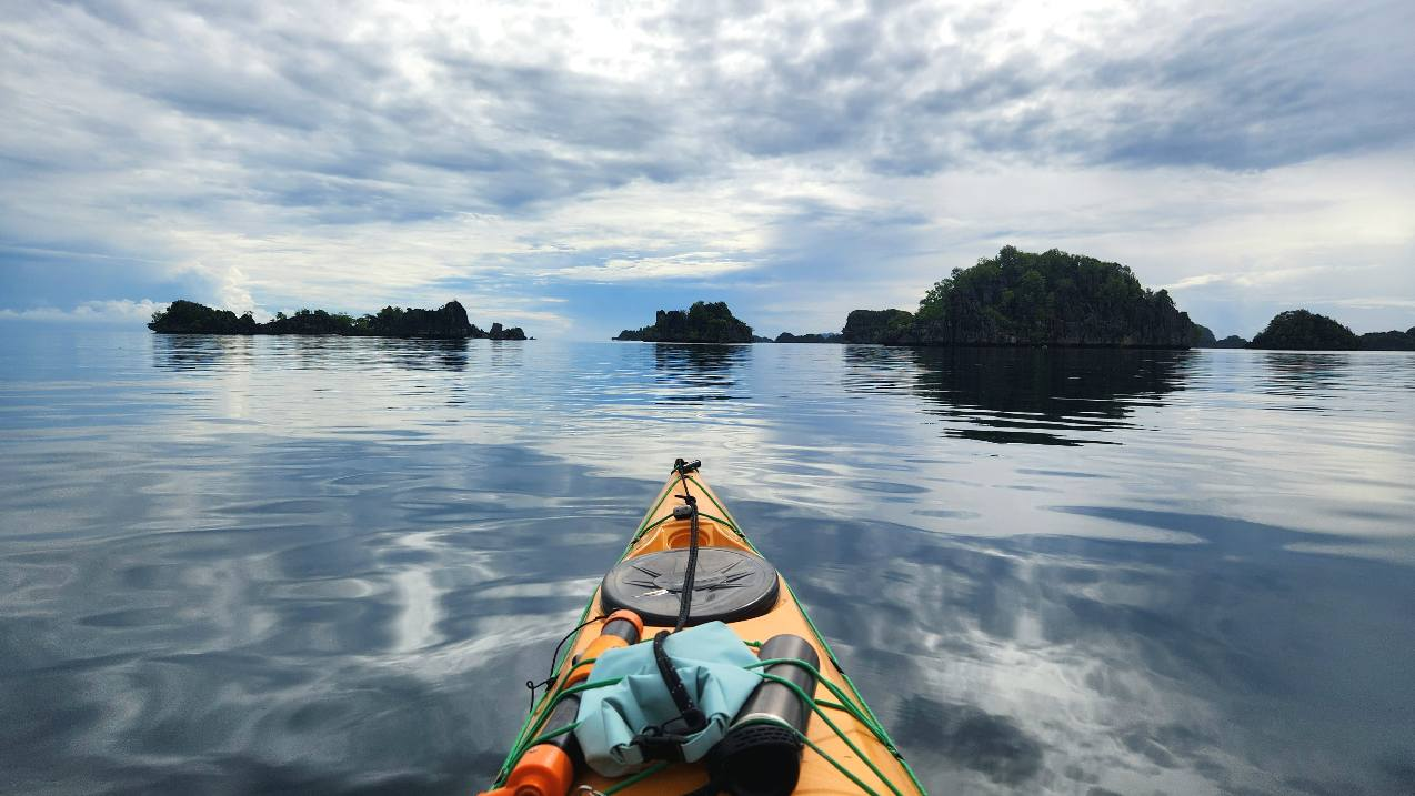 非希塔課程｜大腦方程式