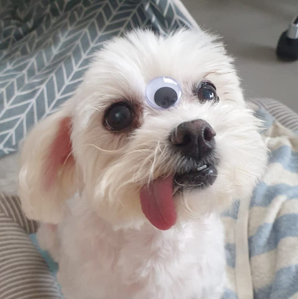 希塔課程｜愛家人/人體直觀