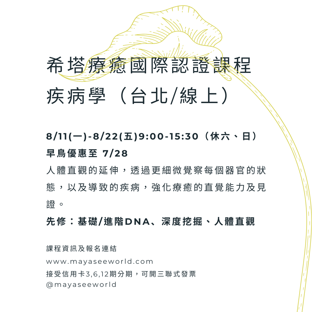 人體直觀與疾病學課程介紹：用能量看懂身體訊號，提升靈性療癒力