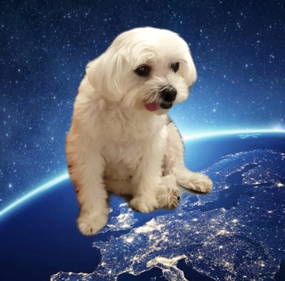 太陽磁波與末日預言：真正的高頻訊息沒有恐懼，只有愛